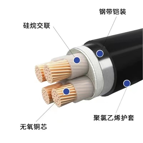 www.xwpfss.cn