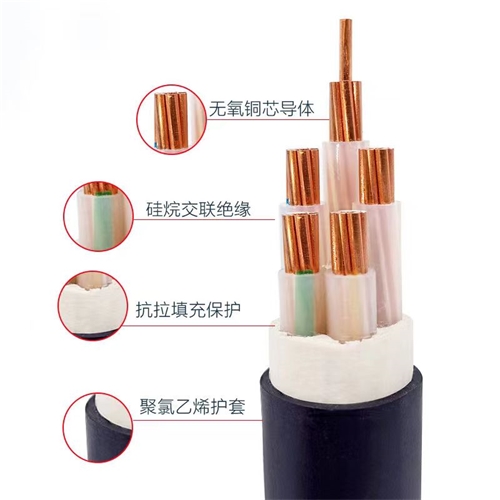 www.xwpfss.cn