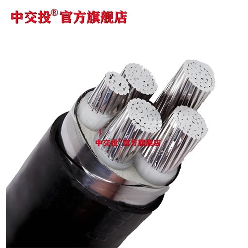 www.xwpfss.cn