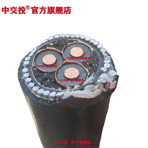 www.xwpfss.cn
