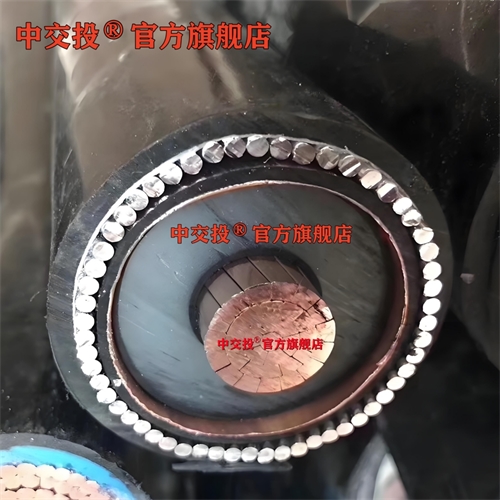 www.xwpfss.cn