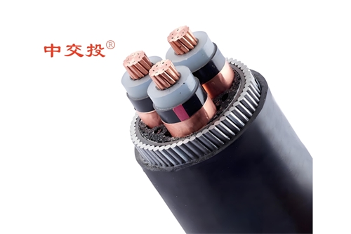 www.xwpfss.cn