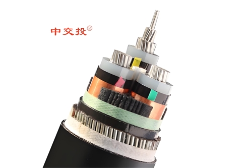 www.xwpfss.cn