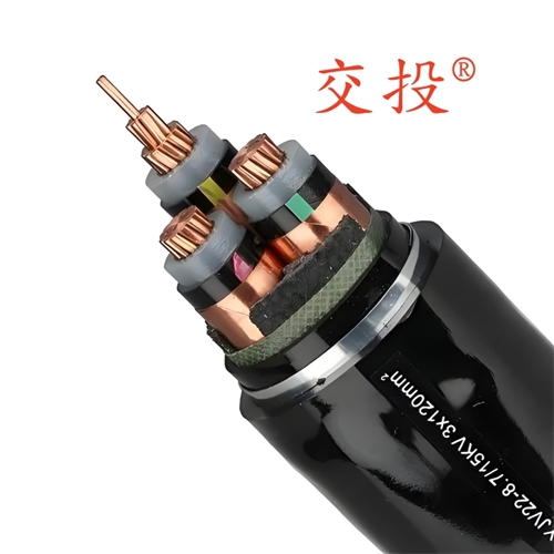 www.xwpfss.cn
